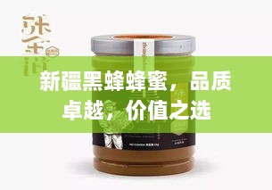 新疆黑蜂蜂蜜，品质卓越，价值之选