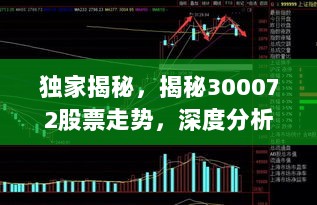 独家揭秘，揭秘300072股票走势，深度分析预测！