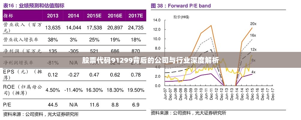 股票代码91299背后的公司与行业深度解析