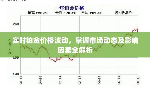 实时铂金价格波动，掌握市场动态及影响因素全解析