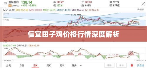 信宜田子鸡价格行情深度解析