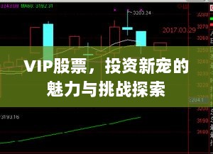 VIP股票，投资新宠的魅力与挑战探索