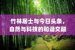 竹林居士与今日头条，自然与科技的和谐交融之美探索