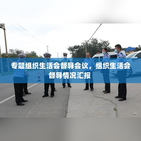 专题组织生活会督导会议，组织生活会督导情况汇报 