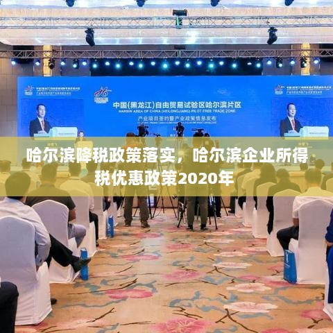 哈尔滨降税政策落实，哈尔滨企业所得税优惠政策2020年 