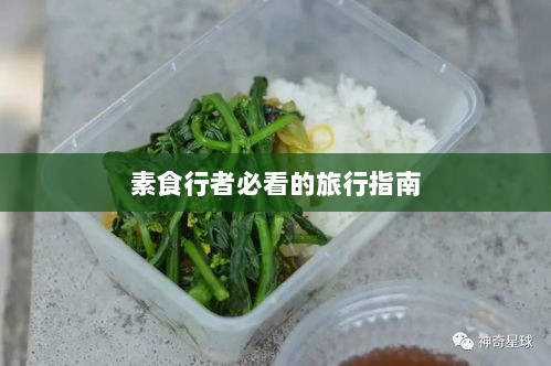 素食行者必看的旅行指南