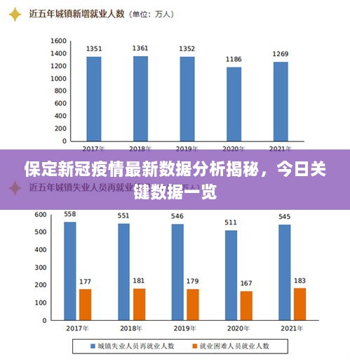 保定新冠疫情最新数据分析揭秘，今日关键数据一览