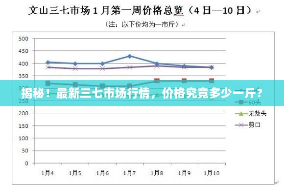 揭秘！最新三七市场行情，价格究竟多少一斤？