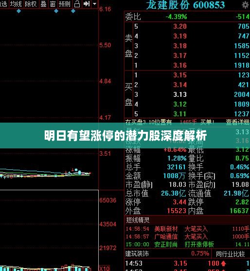 明日有望涨停的潜力股深度解析