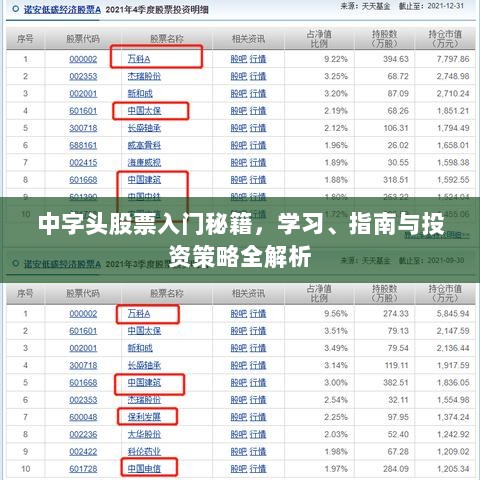 中字头股票入门秘籍，学习、指南与投资策略全解析