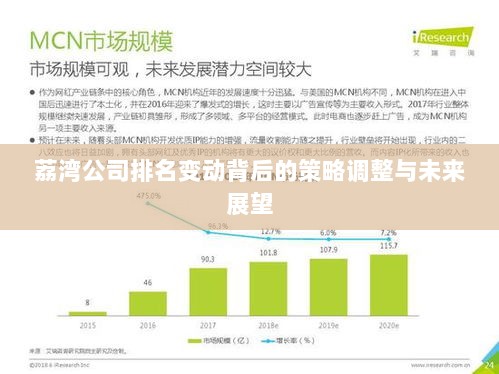 荔湾公司排名变动背后的策略调整与未来展望