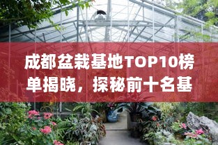 成都盆栽基地TOP10榜单揭晓，探秘前十名基地的美丽秘密