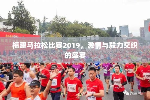 福建马拉松比赛2019，激情与毅力交织的盛宴