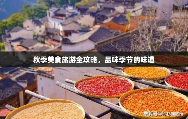 秋季美食旅游全攻略，品味季节的味道