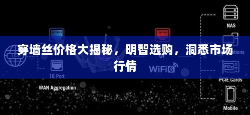 穿墙丝价格大揭秘，明智选购，洞悉市场行情