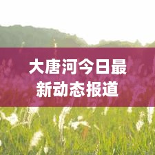 大唐河今日最新动态报道