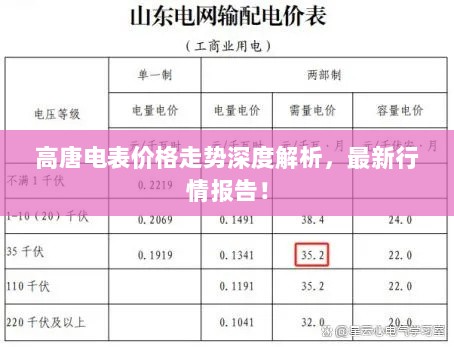 高唐电表价格走势深度解析，最新行情报告！