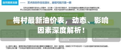 梅村最新油价表，动态、影响因素深度解析！