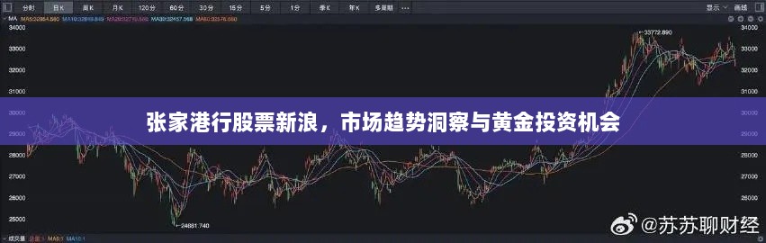 张家港行股票新浪，市场趋势洞察与黄金投资机会