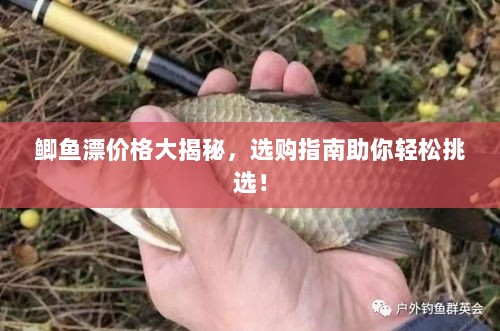 鲫鱼漂价格大揭秘，选购指南助你轻松挑选！