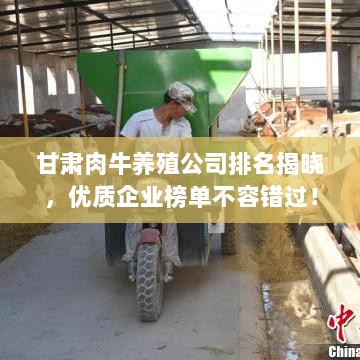 甘肃肉牛养殖公司排名揭晓，优质企业榜单不容错过！