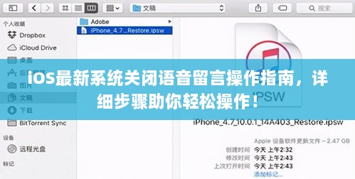 iOS最新系统关闭语音留言操作指南，详细步骤助你轻松操作！