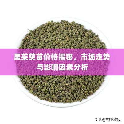 吴茱萸苗价格揭秘，市场走势与影响因素分析