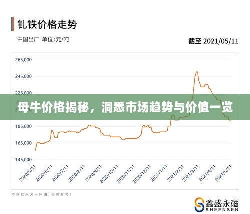 母牛价格揭秘，洞悉市场趋势与价值一览