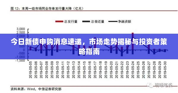 今日新债申购消息速递，市场走势揭秘与投资者策略指南