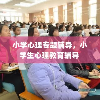 小学心理专题辅导，小学生心理教育辅导 