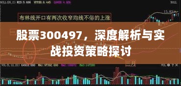 股票300497，深度解析与实战投资策略探讨