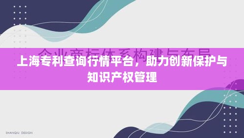 上海专利查询行情平台，助力创新保护与知识产权管理