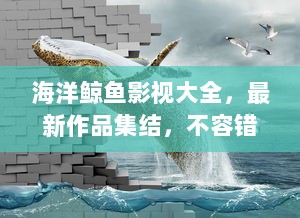 海洋鲸鱼影视大全，最新作品集结，不容错过！