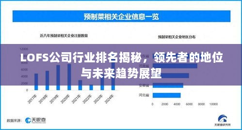 LOFS公司行业排名揭秘，领先者的地位与未来趋势展望