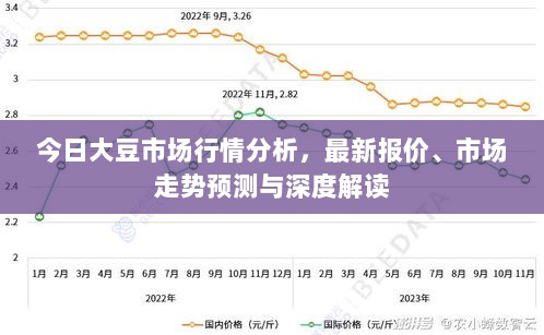 今日大豆市场行情分析，最新报价、市场走势预测与深度解读