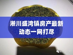 淅川盛湾镇房产最新动态一网打尽