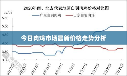 今日肉鸡市场最新价格走势分析