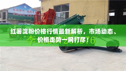 红薯淀粉价格行情最新解析，市场动态、价格走势一网打尽！