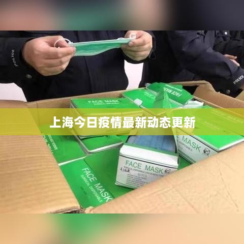 上海今日疫情最新动态更新