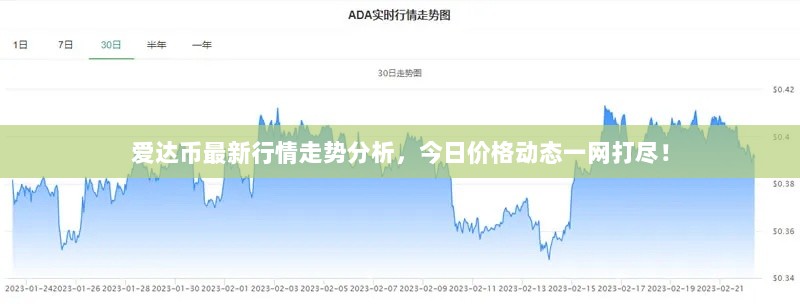 2025年2月24日 第3页