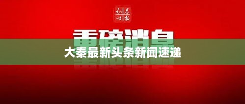 大秦最新头条新闻速递