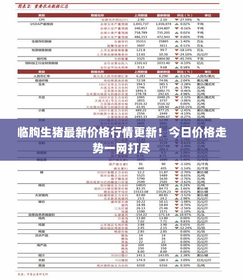 临朐生猪最新价格行情更新！今日价格走势一网打尽