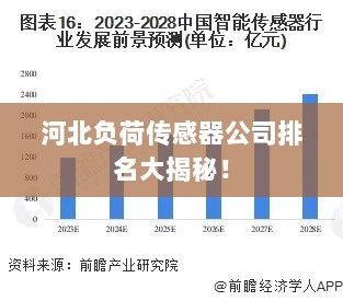 河北负荷传感器公司排名大揭秘！