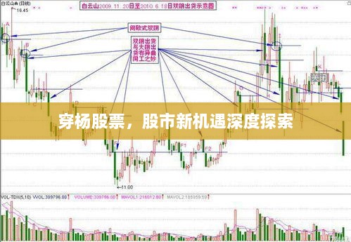 穿杨股票，股市新机遇深度探索