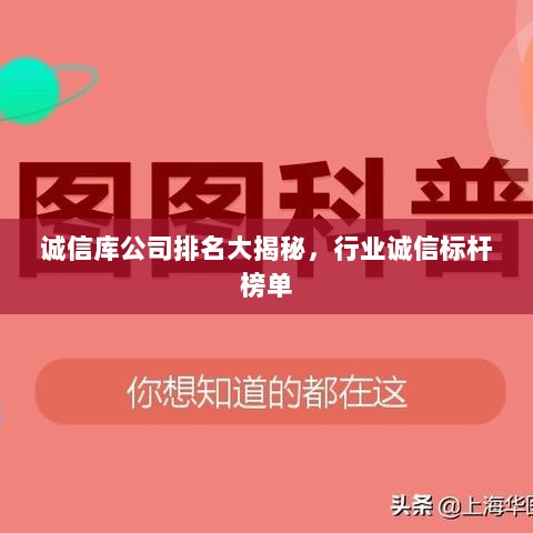 诚信库公司排名大揭秘，行业诚信标杆榜单