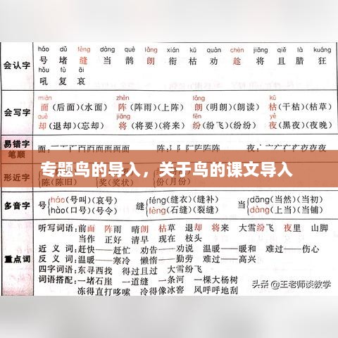 专题鸟的导入，关于鸟的课文导入 