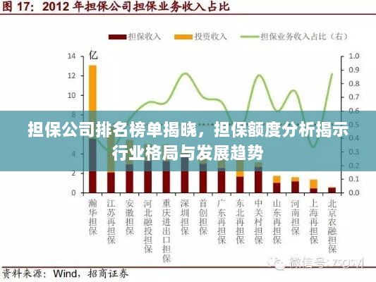 担保公司排名榜单揭晓，担保额度分析揭示行业格局与发展趋势