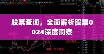 股票查询，全面解析股票0024深度洞察