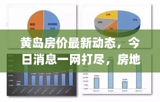 黄岛房价最新动态，今日消息一网打尽，房地产市场趋势深度解析