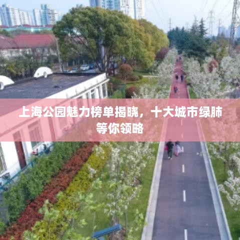 上海公园魅力榜单揭晓，十大城市绿肺等你领略